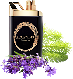Accendis Lucepura EdP Vapo