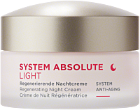 ANNEMARIE BÖRLIND System Absolute Regenerierende Nachtcreme light
