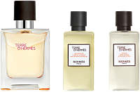 Hermès Terre d'Hermès Set = EdT Nat. Spray 50 ml + Shower Gel 40 ml + Afer Shave Lotion 40 ml