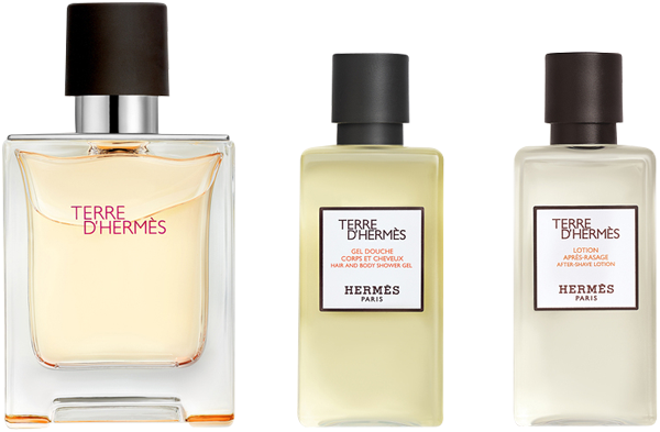Hermès Terre d'Hermès Set = E.d.T. Nat. Spray 50 ml + Shower Gel 40 ml +  Afer Shave Lotion 40 ml online kaufen 